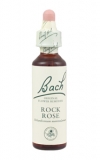 Rock Rose (Devaterník penízkovitý)